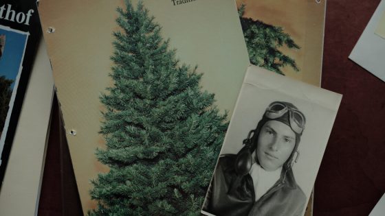 Si Spiegel, War Hero Who Modernized Christmas Trees, Dies at 99 – MASHAHER