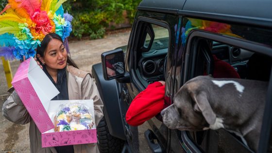 Outside New Orleans, the King Cake Drive-Thru Has You Covered for Mardi Gras – MASHAHER