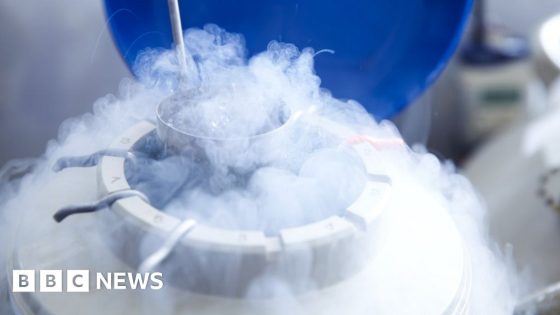 Frozen eggs may have been damaged by faulty liquid at IVF clinic – MASHAHER