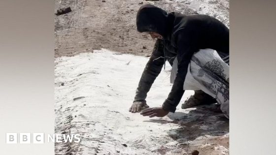 Gaza food crisis: Man gathers spilled flour off ground as desperation grows – MASHAHER