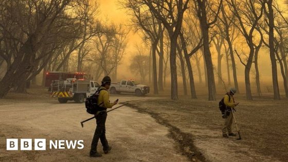 Texas battles second-biggest wildfire in US history – MASHAHER