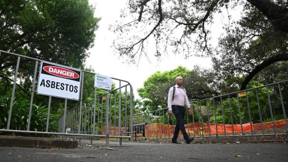 Asbestos-tainted mulch: Testing across Sydney set to begin – MASHAHER