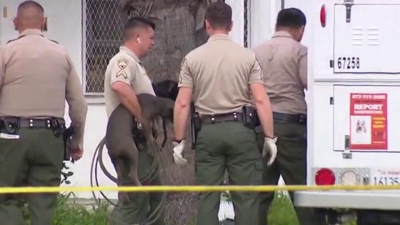 California man attacked, killed by group of pit bulls in backyard kennel – MASHAHER