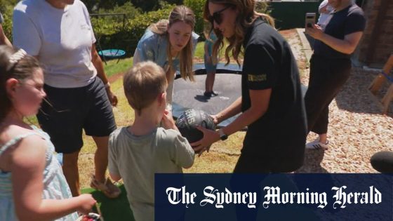 Kids with childhood dementia get backyard makeover – MASHAHER