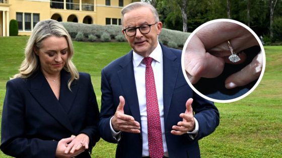 Anthony Albanese’s ‘great day’ consists of stage 3 tax cuts and engagement to partner Jodie Haydon – MASHAHER