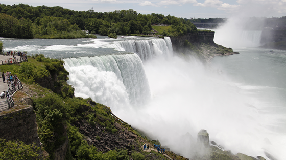 You love NY parks! – POLITICO – MASHAHER