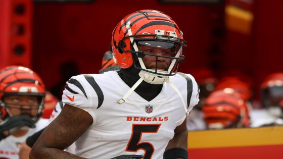 Bengals tell WR Tee Higgins they’ll franchise tag him, per report – MASHAHER