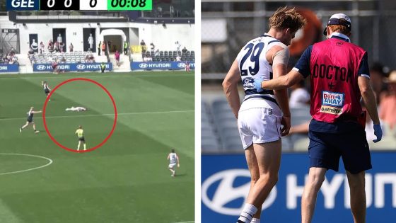 Live AFL pre-season 2024 Carlton Blues vs Geelong Cats live updates, score, stats, how to watch, stream, match simulation, news – MASHAHER