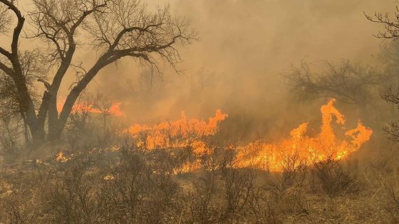 Texas fires map and satellite images show where wildfires are burning in Panhandle and Oklahoma – MASHAHER