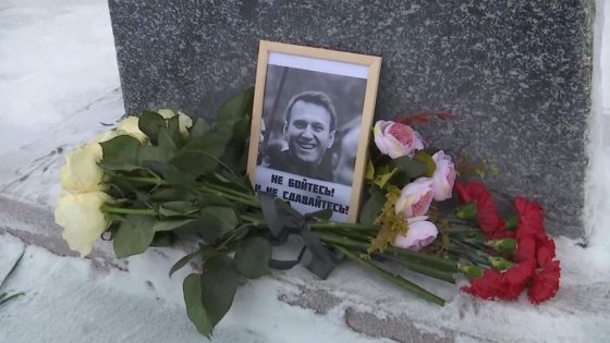 Navalny interview is a damning indictment from beyond the grave | World News – MASHAHER