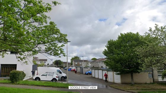 ‘Large bulldog-type’ dog shot dead by police after attacking Collie in East Kilbride | UK News – MASHAHER