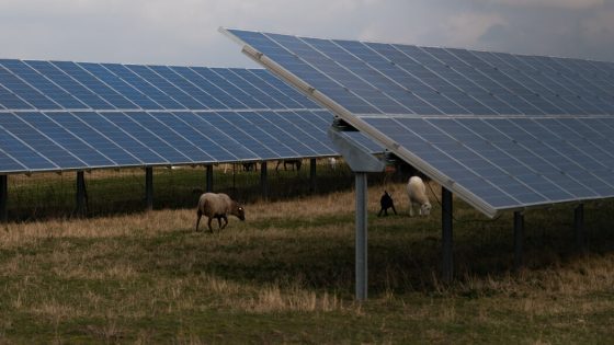 Germany’s Solar Panel Industry, Once a Leader, Is Getting Squeezed – MASHAHER