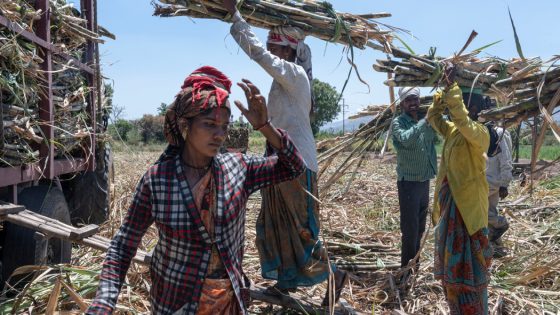 5 Takeaways From an Investigation Into Hysterectomies in India’s Sugar Industry – MASHAHER