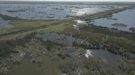 Massive project works to restore Florida’s Everglades – MASHAHER