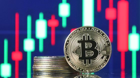 ETFs have brought short-term volatility to bitcoin, may help long term – MASHAHER