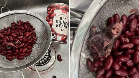 Coles takes home brand red kidney beans off shelves in WA after mum claims to have found rat inside can – MASHAHER