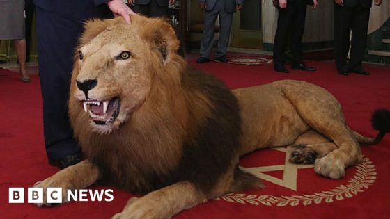 Bill to ban trophy hunting imports back in Commons – MASHAHER