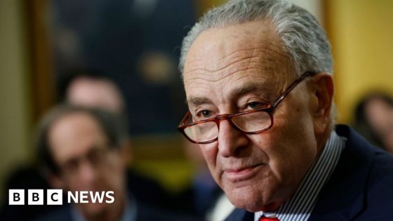 Top Democrat Chuck Schumer calls for new Israel election – MASHAHER