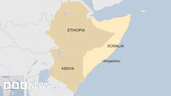 Al-Shabaab attacks hotel in Somali capital – MASHAHER