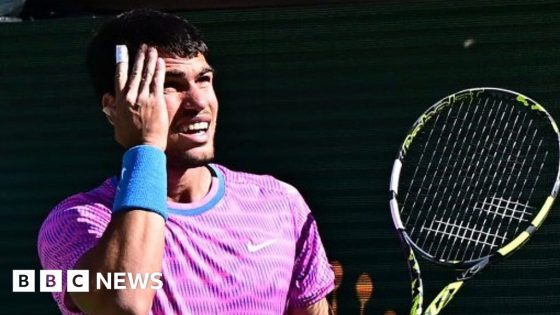 Bees force Carlos Alcaraz and Alexander Zverev off court at Indian Wells – MASHAHER