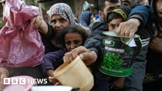 Entire Gaza population facing acute hunger – US – MASHAHER