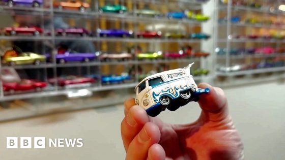 What a 25,000-piece Hot Wheels collection looks like – MASHAHER