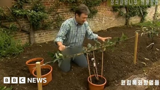 North Korea censors Alan Titchmarsh's trousers – MASHAHER