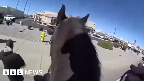 New Mexico: Police on horseback chase down suspect – MASHAHER