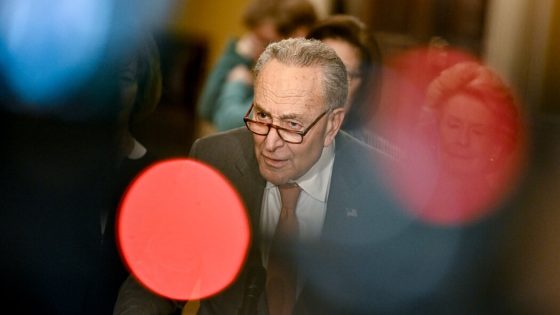 Schumer Urges New Leadership in Israel, Calling Netanyahu an Obstacle to Peace – MASHAHER