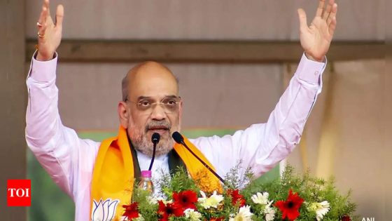 ‘Congress opposed CAA due to vote-bank politics,’ says Amit Shah in Hyderabad | India News – MASHAHER