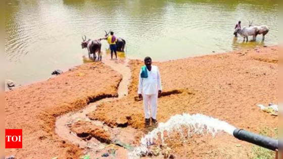 In drought-hit K’taka, farmer pumps water from own well into dry river | India News – MASHAHER