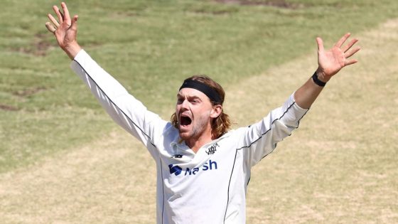 Sheffield Shield: Western Australia set up mouth-watering final round after taking down Queensland at WACA – MASHAHER