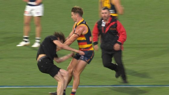 Ben Keays takes down intruder fan video, Adelaide Crows vs Geelong Cats – MASHAHER