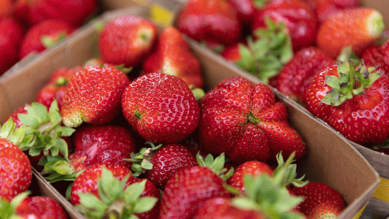 Kentucky 8-year-old dies after allergic reaction to strawberries – MASHAHER