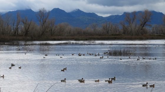 The Lone Volcano in California’s Central Valley – MASHAHER