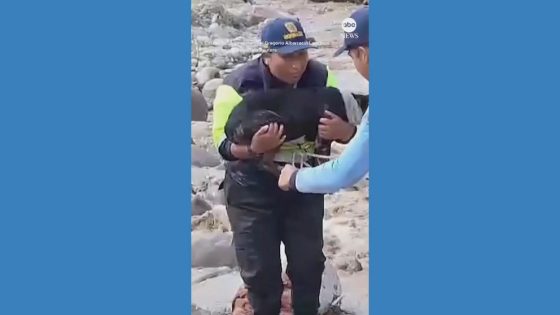 WATCH: Agent rescues dog from swollen river in Peru – MASHAHER