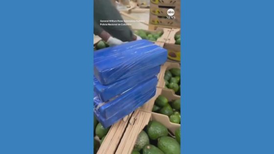 WATCH: Police in Colombia seize nearly 2 tons of cocaine hidden in crates of avocados – MASHAHER