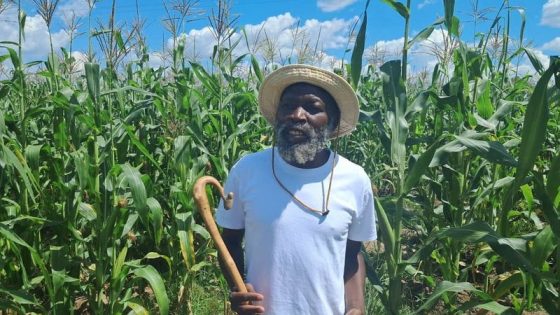 Zimbabwe sect leader held after 251 children rescued from farm labour – MASHAHER