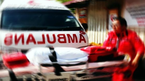 Woman injured when tree fell on car in Tuaran – MASHAHER