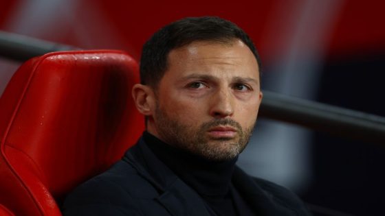 Football: Soccer-Belgium coach Tedesco content despite England’s late equaliser – MASHAHER