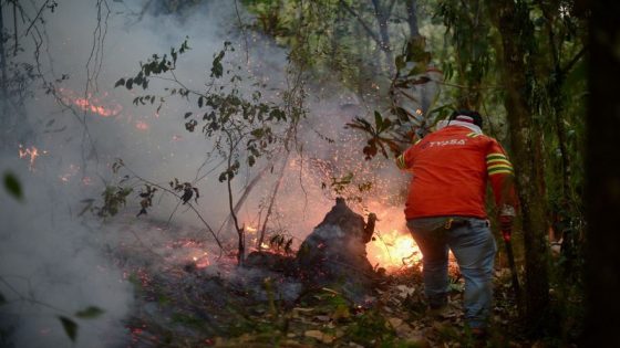 Forest fires spread in Mexico, at least four dead – MASHAHER