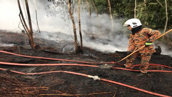 MMEA carries out water-bombing to extinguish Miri peat fires – MASHAHER