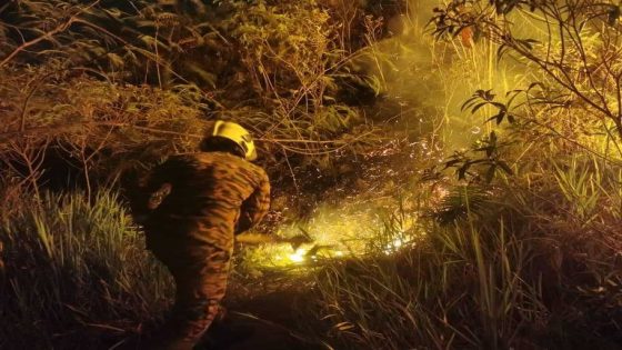 30 hectares of forest area on fire in Kuantan – MASHAHER