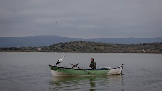 A Stork, a Fisherman and Their Unlikely Bond Enchant Turkey – MASHAHER