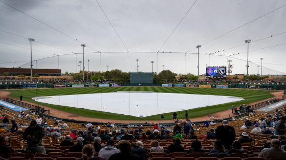 MLB Spring Breakout: Marlins beat Cardinals, Mets beat Nationals and rain beats 6 other teams – MASHAHER