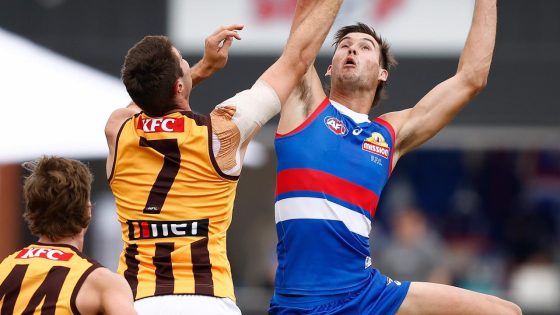 Hawthorn Hawks vs Western Bulldogs, Community Series updates, stats, blog, highlights, results – MASHAHER