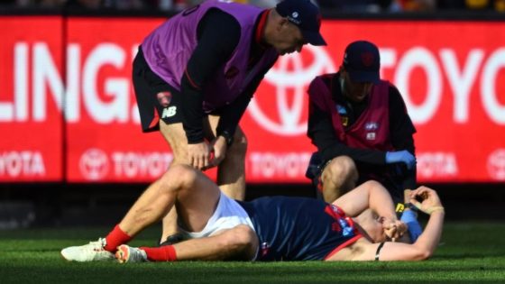 May hospitalised, Lever also hurt in Demons’ AFL win – MASHAHER