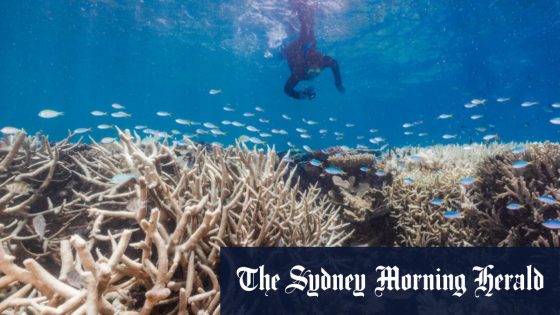 Mass coral bleaching on Great Barrier Reef sparks fear of global event – MASHAHER