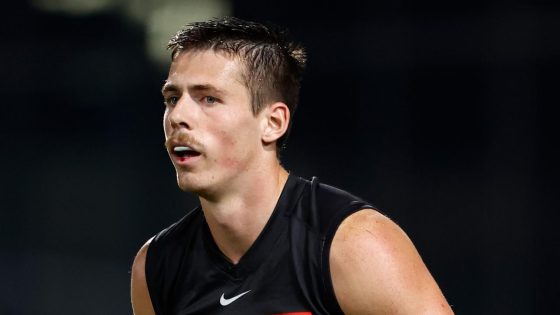 AFL Teams Opening Round 2024 team news, line-ups, full squads, ins and outs, injuries, benches, changes, SuperCoach, latest – MASHAHER