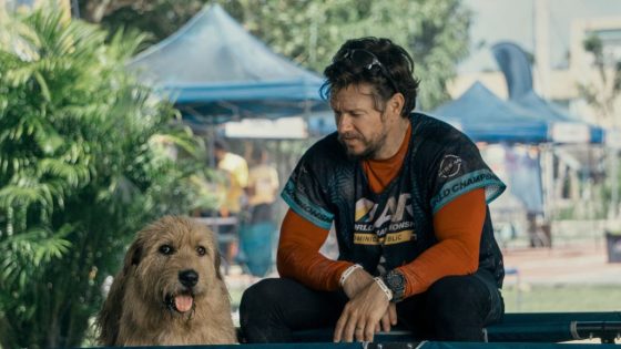 Mark Wahlberg Shouts Out The Audience After They Give His New Dog Movie Arthur The King A Super High Rotten Tomatoes Score – MASHAHER